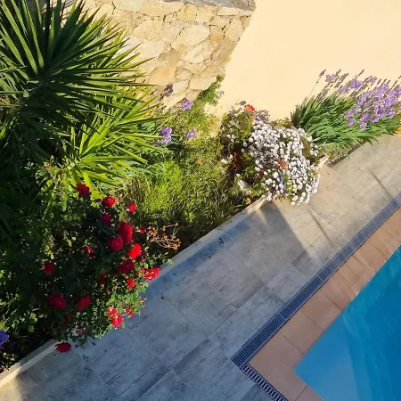 Casa Milia Lumio (Corsica)